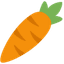 YoonCarrot